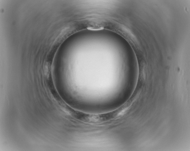 X0000089460121200706151444
