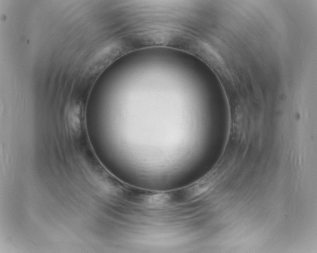 X0000089460122200706151444
