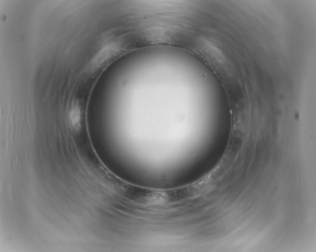 X0000089460124200706151444