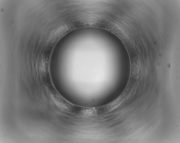 X0000089460126200706151444