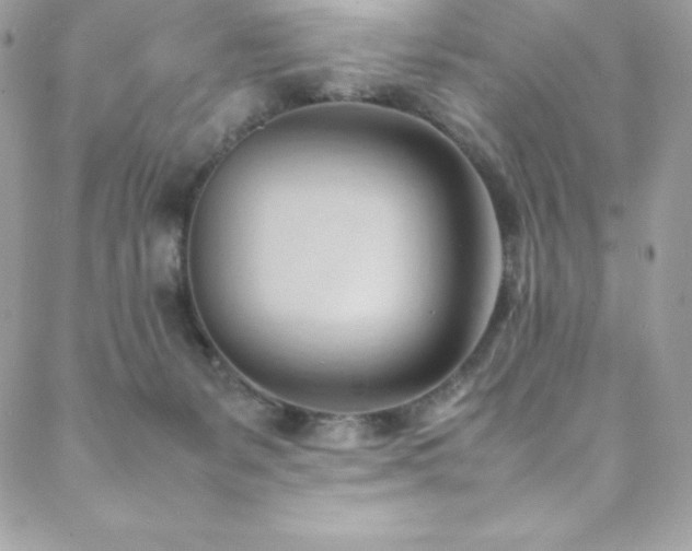 X0000089460127200706151444