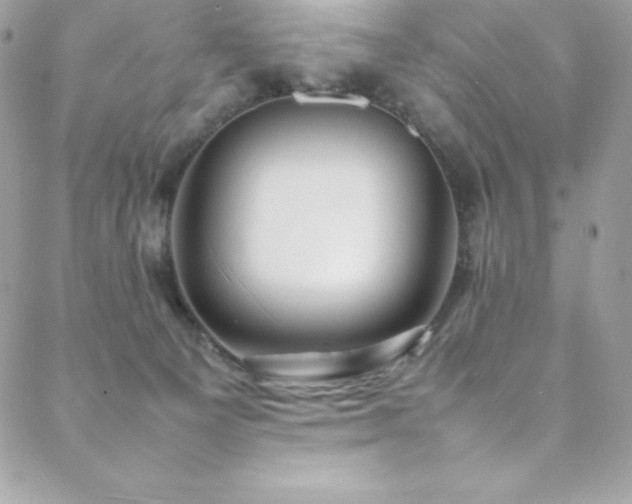 X0000089460129200706151443