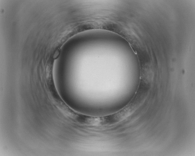 X0000089460131200706151443
