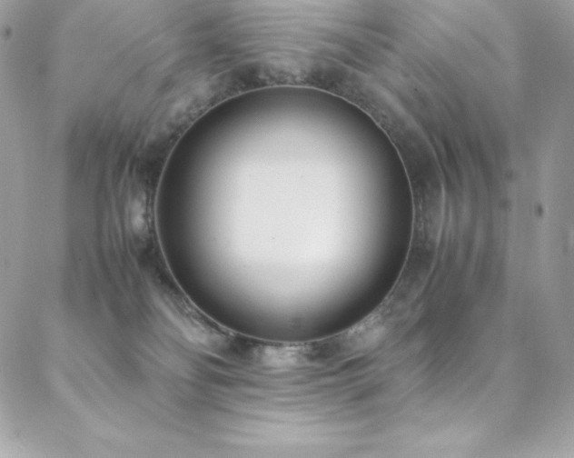 X0000089460134200706151443