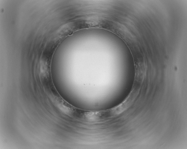 X0000089460136200706151443