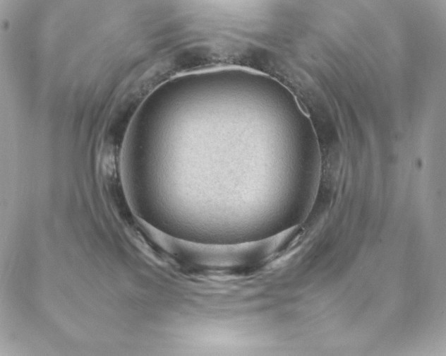 X0000089460137200706151443