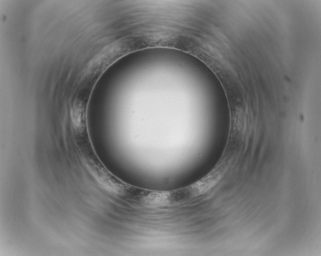 X0000089460138200706151443