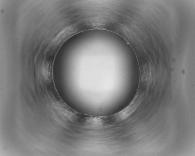 X0000089460140200706151443