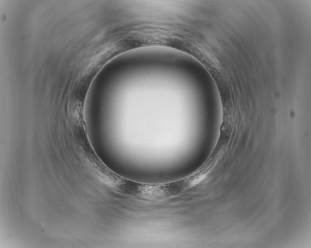 X0000089460141200706151443