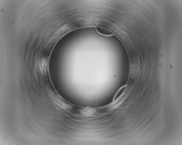X0000089460142200706151443
