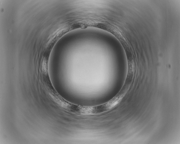 X0000089460143200706151443