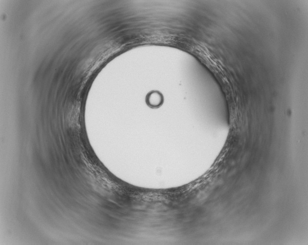X0000089460146200706151442