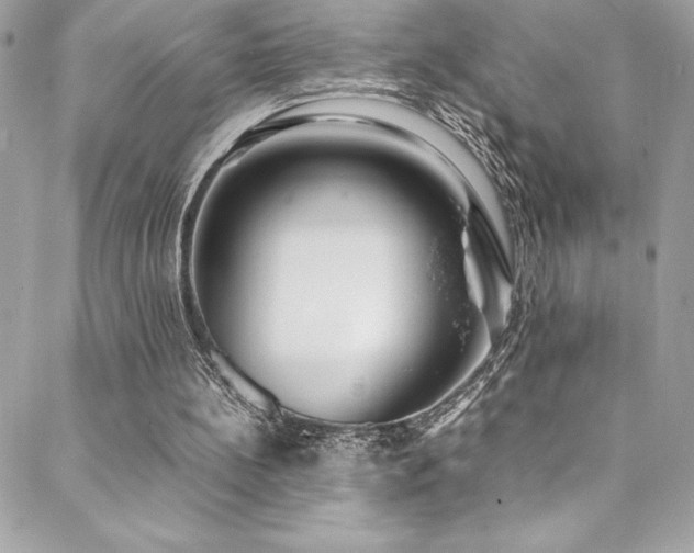 X0000089460148200706151443