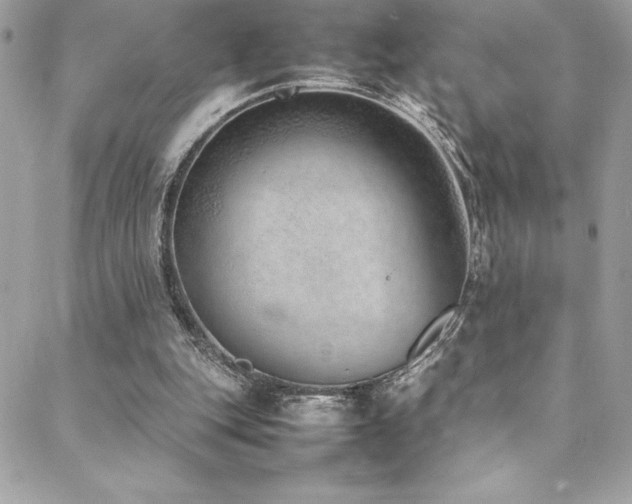X0000089460151200706151443