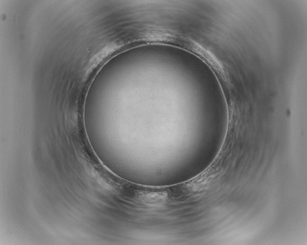 X0000089460155200706151443