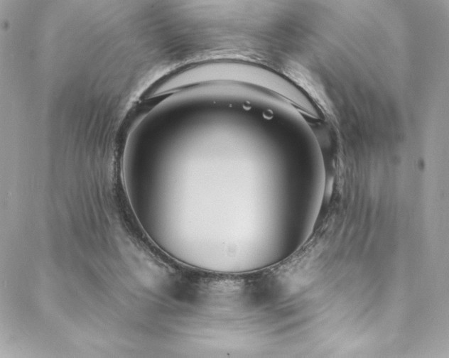 X0000089460156200706151443