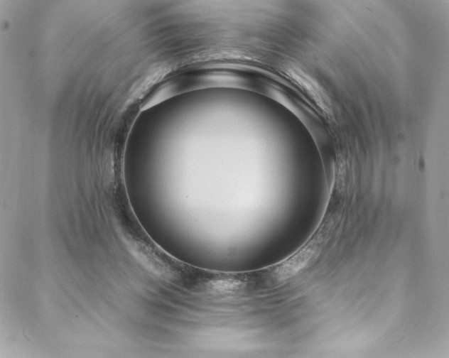 X0000089460158200706151443