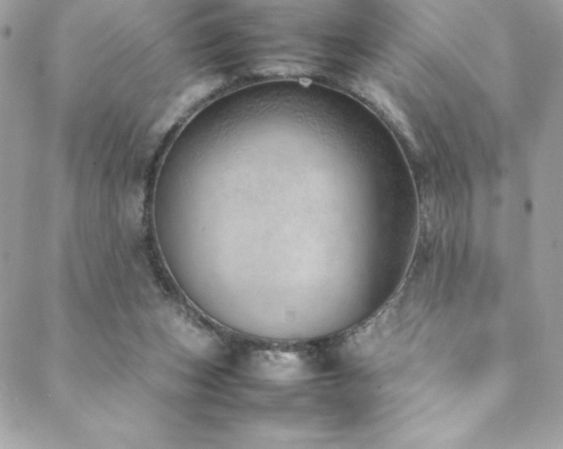 X0000089460159200706151443