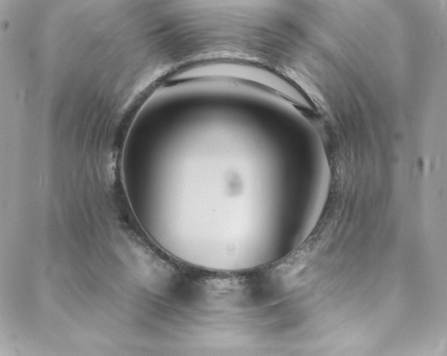 X0000089460160200706151443