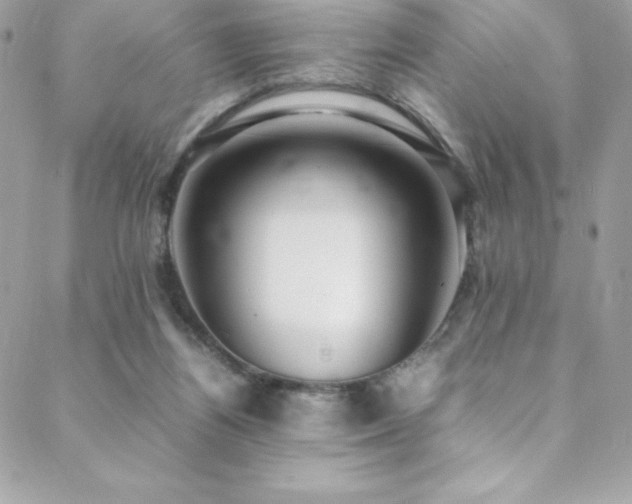 X0000089460164200706151443