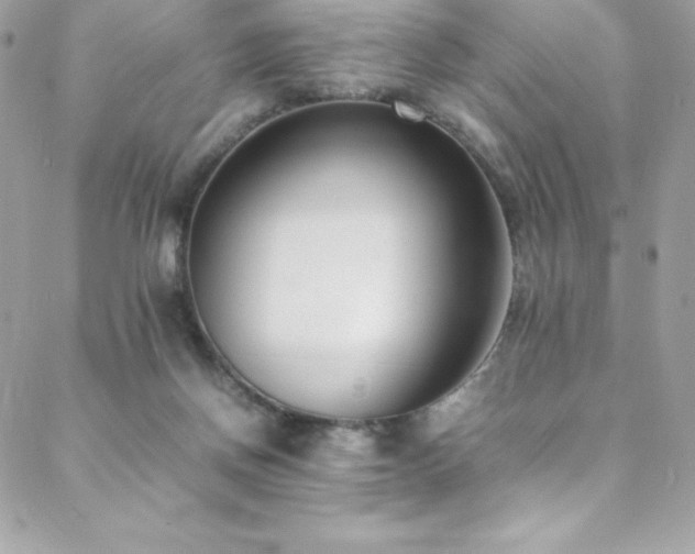 X0000089460166200706151443