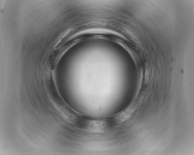 X0000089460168200706151443