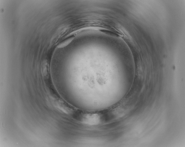 X0000089460169200706151443
