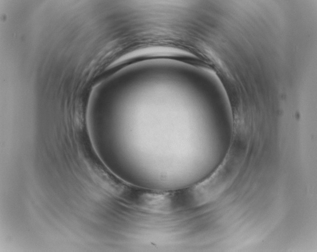 X0000089460170200706151443
