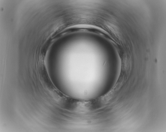 X0000089460172200706151443