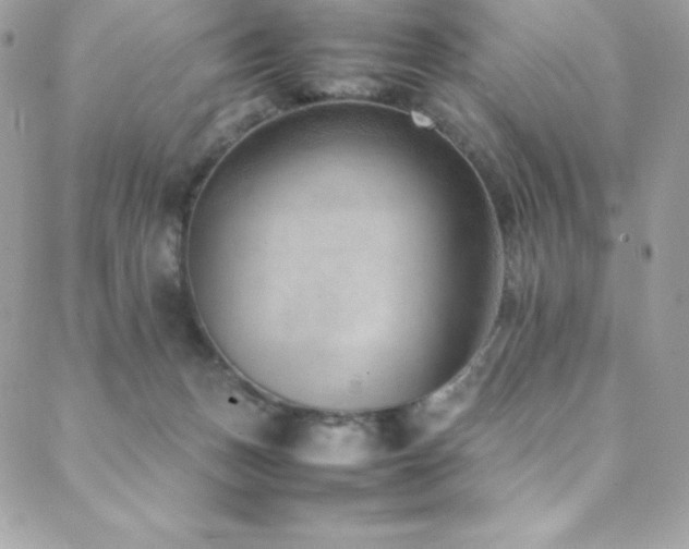 X0000089460175200706151443