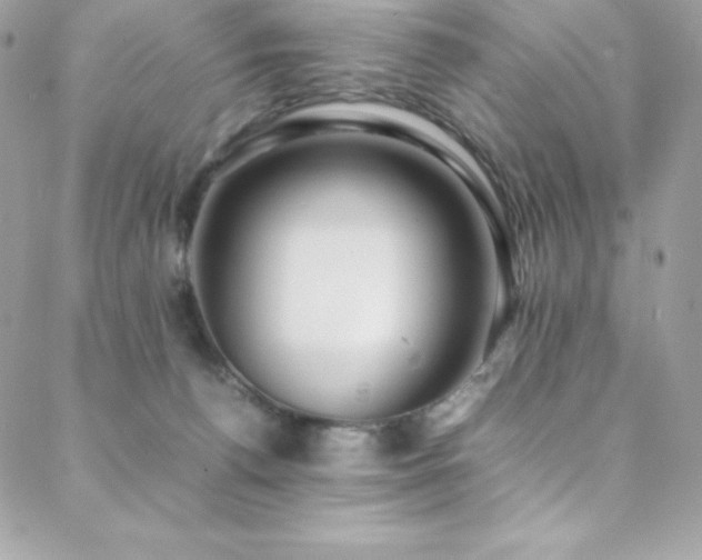 X0000089460176200706151443