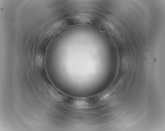 X0000089460177200706151443