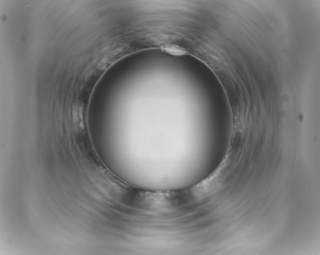 X0000089460182200706151443