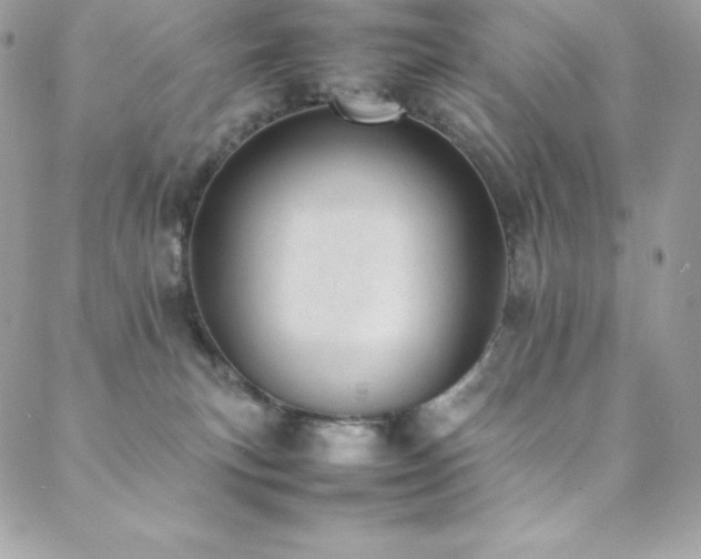 X0000089460183200706151443