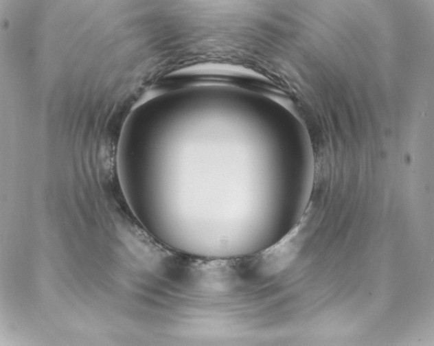 X0000089460186200706151443