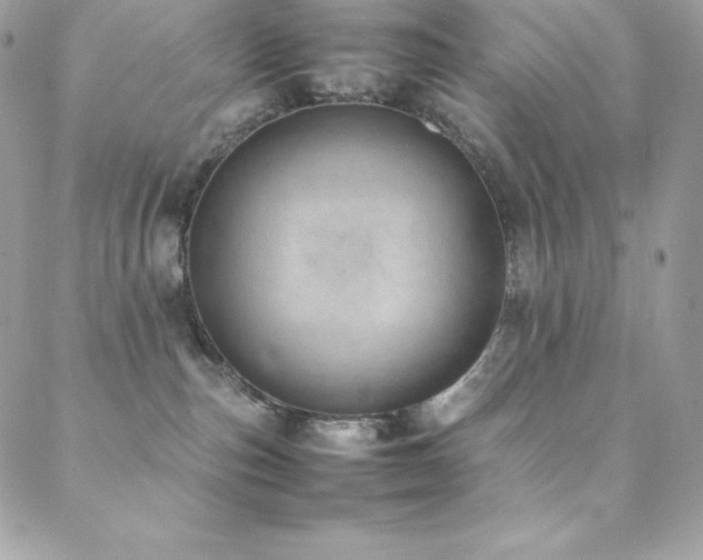 X0000089460187200706151443
