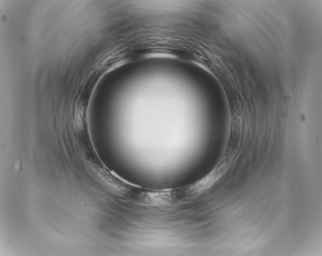 X0000089460188200706151443
