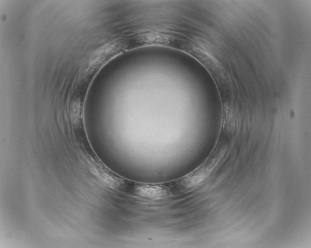 X0000089460189200706151443
