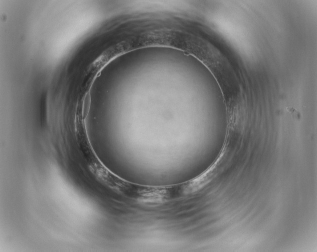 X0000089460191200706151443