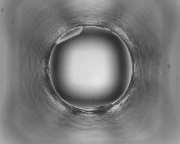 X0000089460201200706151442