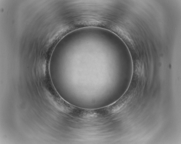 X0000089460206200706151442