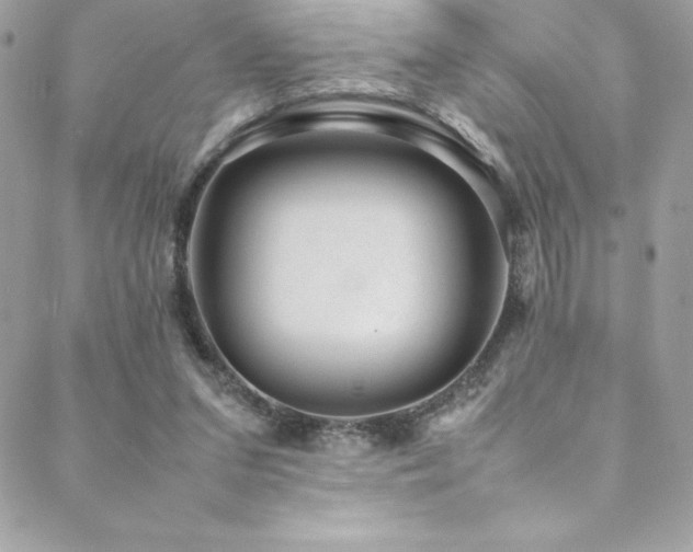 X0000089460207200706151442