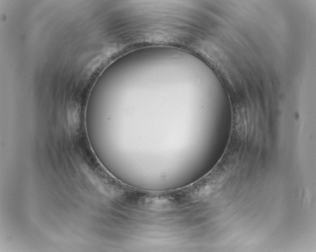 X0000089460208200706151442