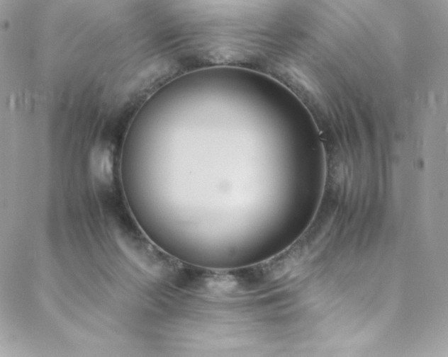 X0000089460214200706151442