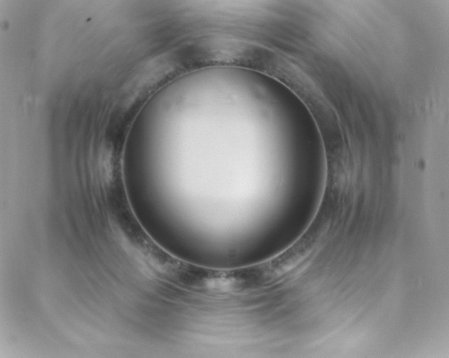 X0000089460216200706151442