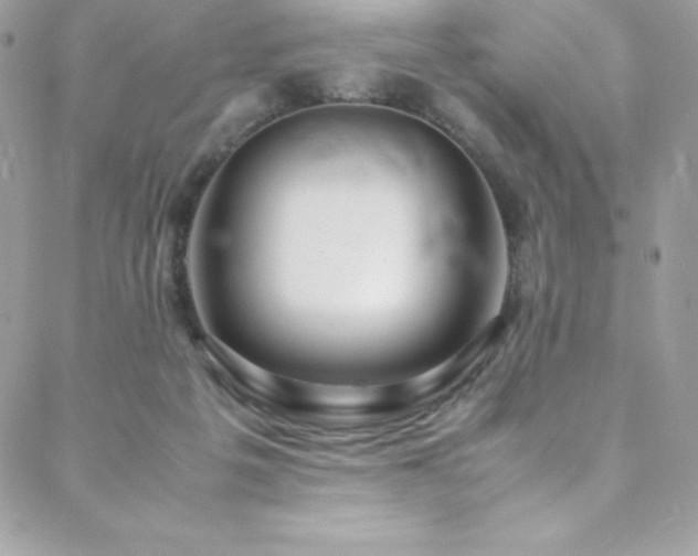 X0000089460217200706151442