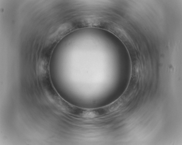 X0000089460218200706151442