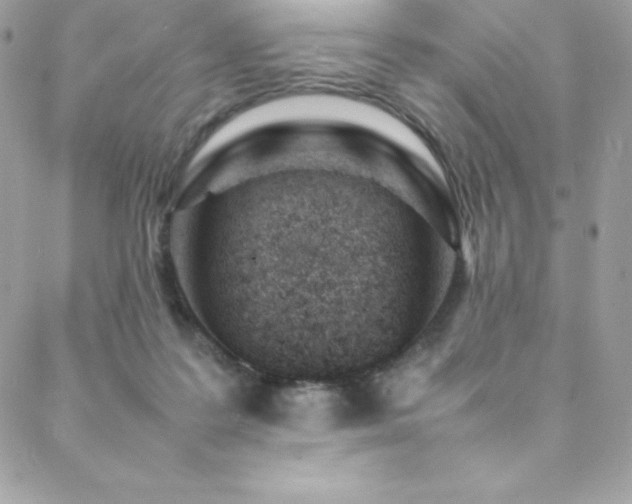 X0000089460219200706151442