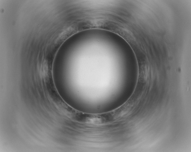 X0000089460220200706151442
