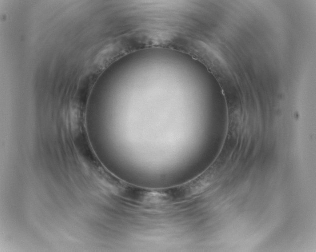 X0000089460222200706151442
